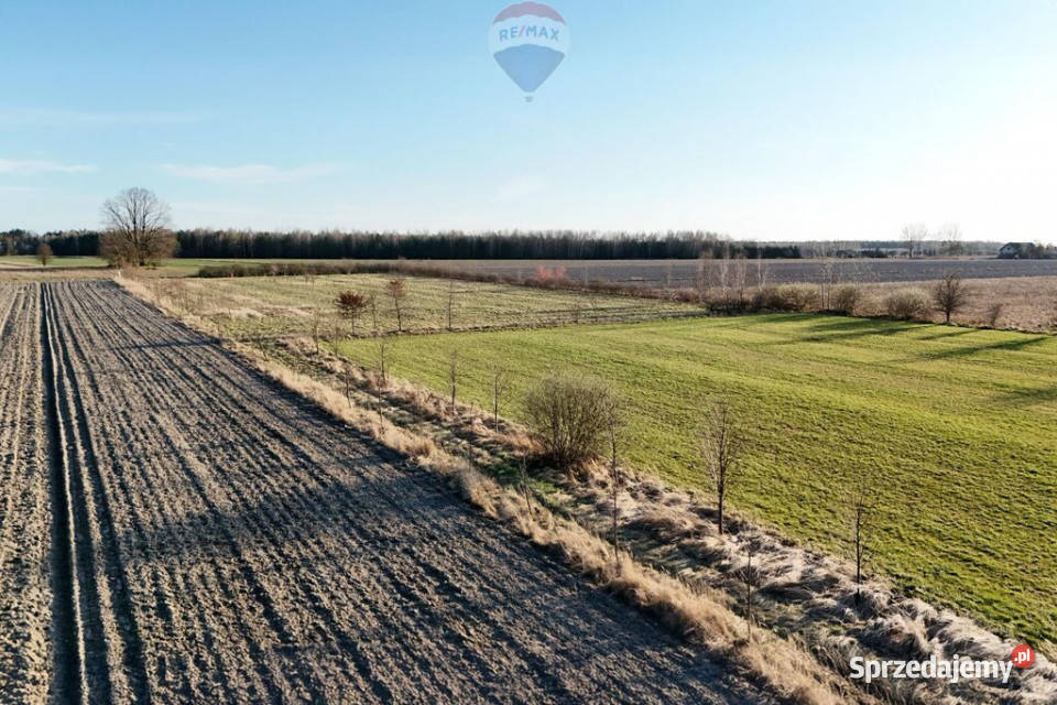 Ponad hektar przestrzeni 40 minut Warszawy mazowieckie Korabiewice sprzedam