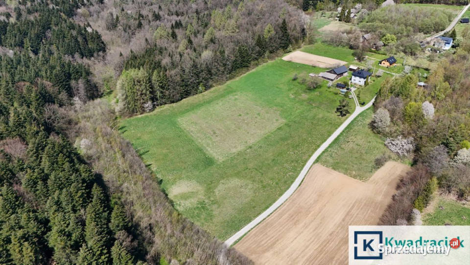 Działka 12569m2 Niepla