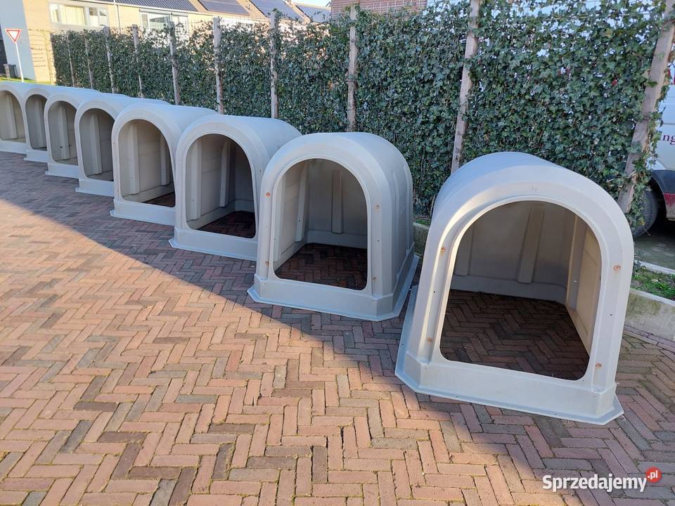 Iglo cieląt budki cieląt Hodowla bydła Krzewica