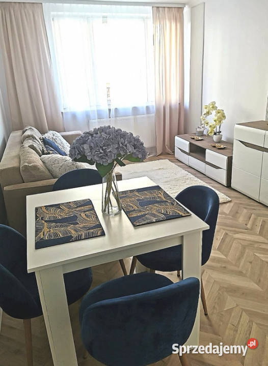 Bezpośrednio 2 pokoje 43 mkw parter parter sprzedam