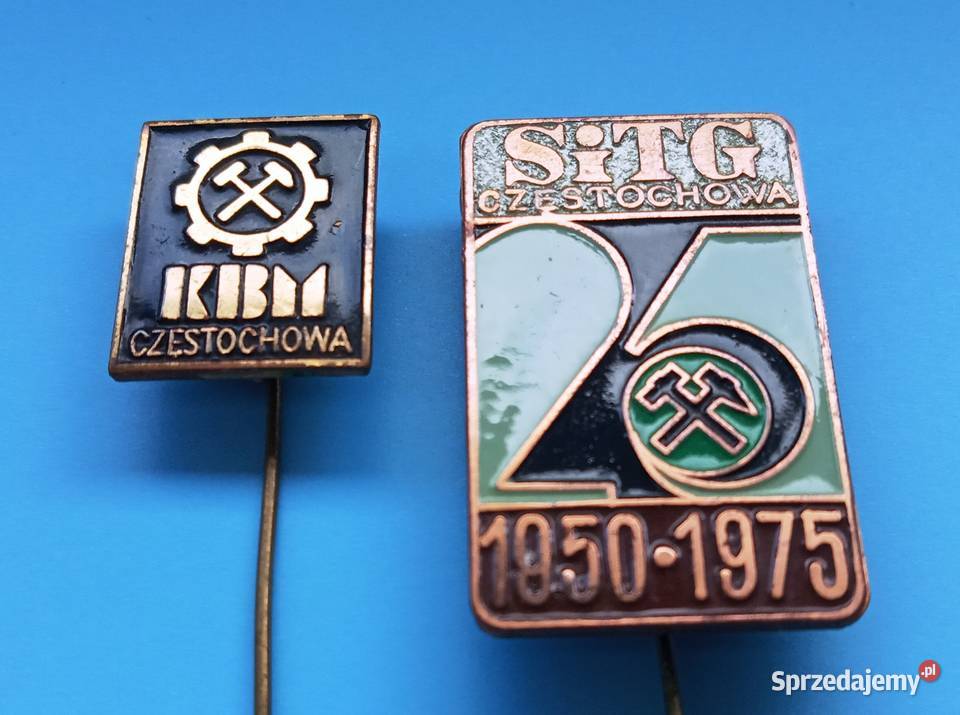 Medalplakieta 1976r i dwa piny z lat 70tych śląskie Częstochowa sprzedam