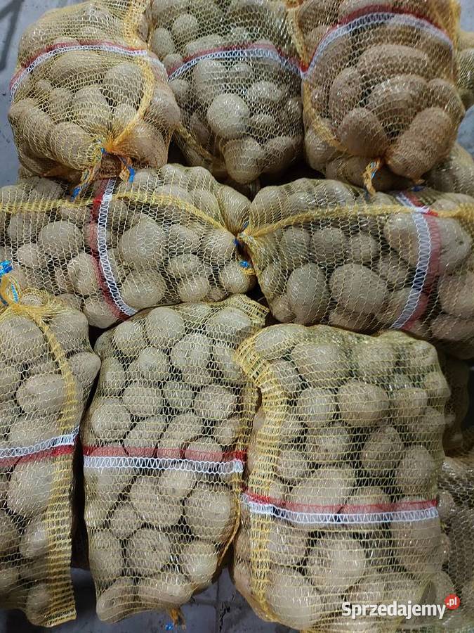 Ziemniaki jadalne Pozostałe wielkopolskie