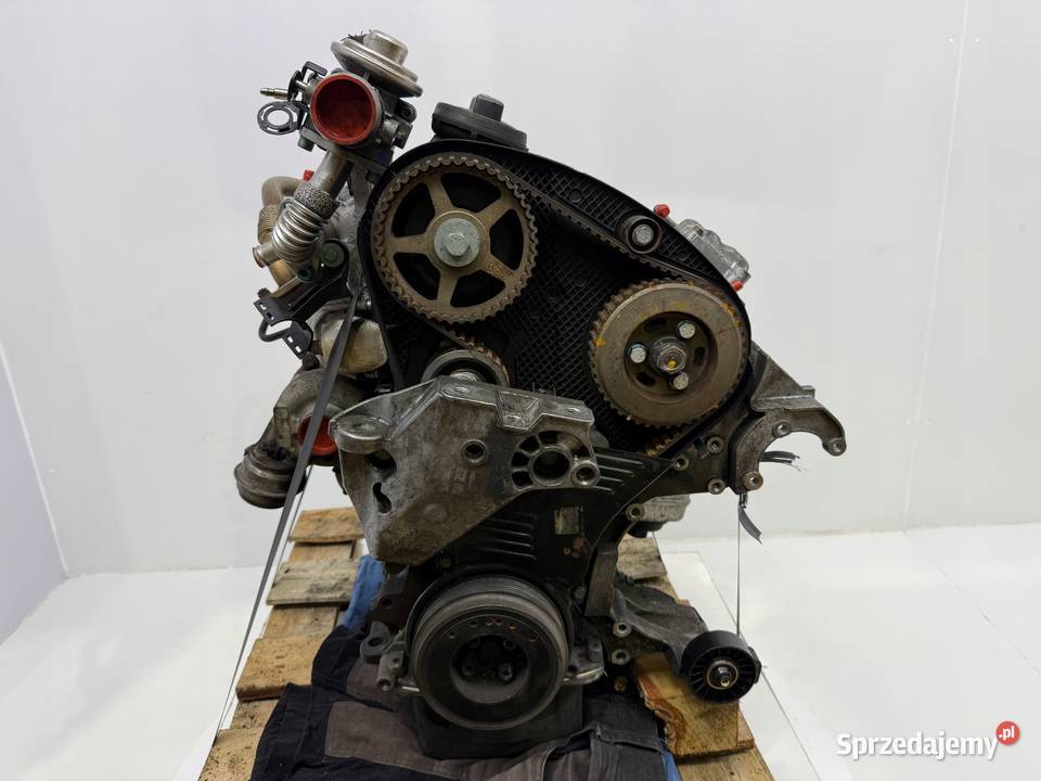 SILNIK ALH AGR Audi A3 Skoda Octavia I 19 TDI 90 Chełm