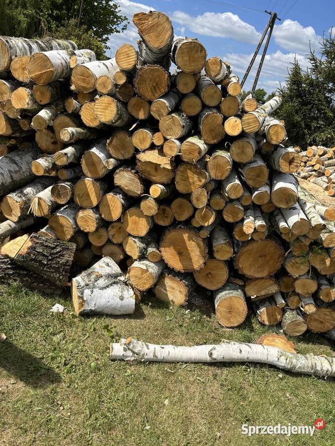 Sprzedam drewno kominkowe Brzoza Sosna kujawsko-pomorskie Mrocza