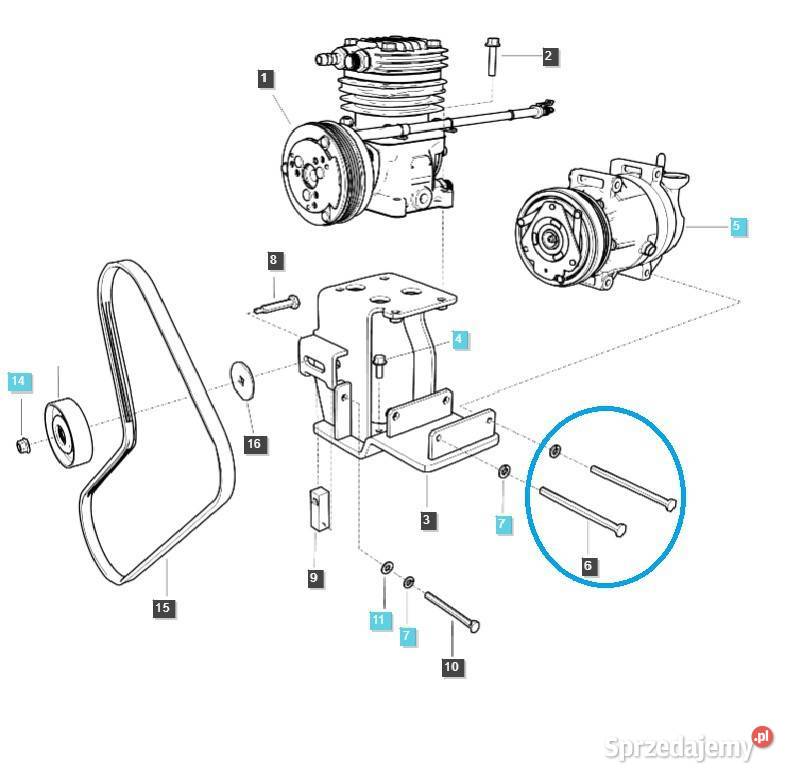 Śruba napinacza FT S163088043 LS Tractor Tajęcina