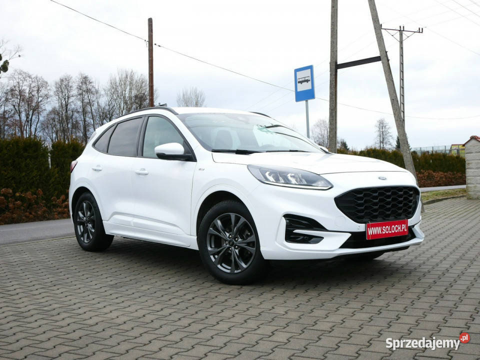 Ford Kuga 15 EcoBlue 120 Eu6 StLine Automat 8b 120KM Goczałkowice-Zdrój