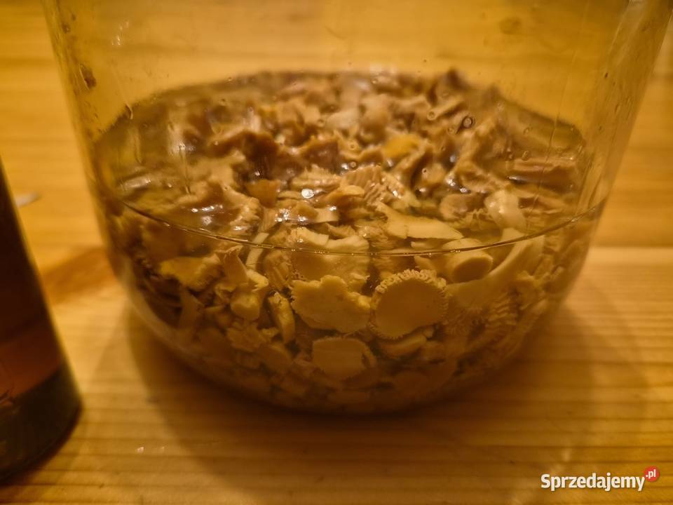 Kurkówka 100 ml
