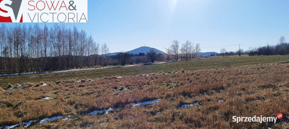 Słoneczna działka budowlana w Szczawnie Zdroju Szczawno-Zdrój sprzedam