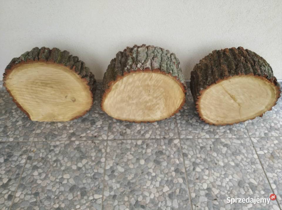 Dębowe plastry kręgi plaster dębowy drewna różne mazowieckie sprzedam