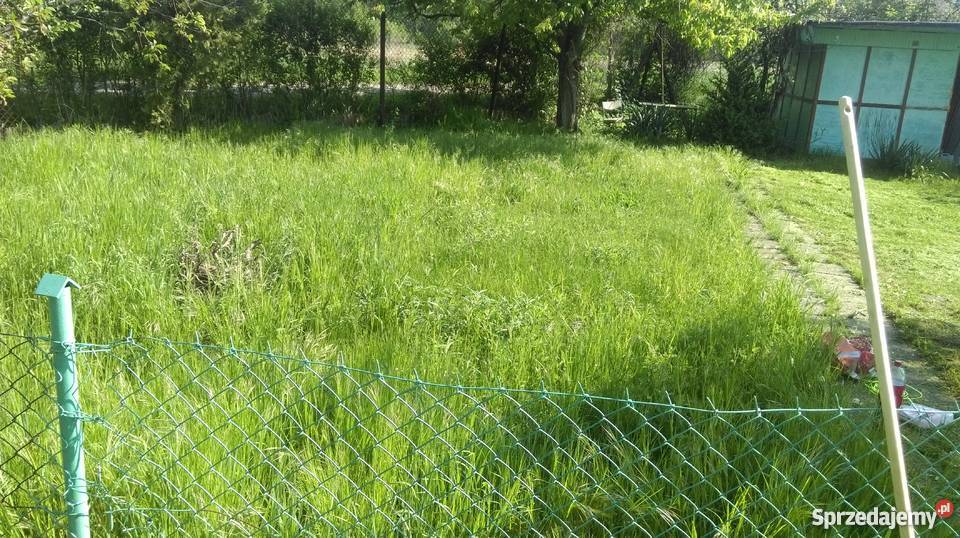 wykaszanie kosom spalinowawycinki drzewkrzewów Wrocław prace ogrodowe