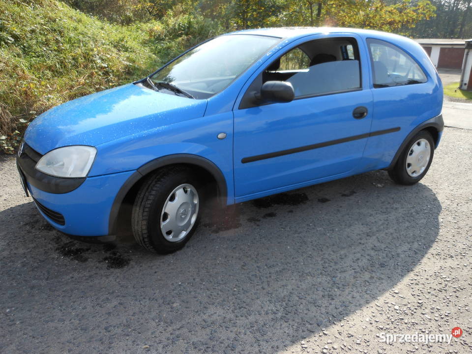 Opel Corsa C 10 2001 uszkodzony silnik KOŚCIAN 58KM Corsa Kościan