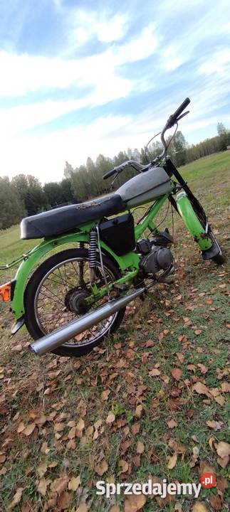 Romet 50 T1 metalic Biała Podlaska