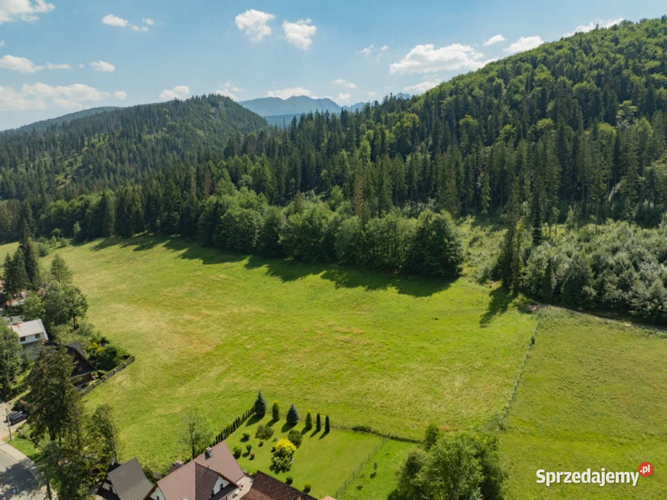 Działka rolna Jaszczurówka Zakopane z dojazdem rolna