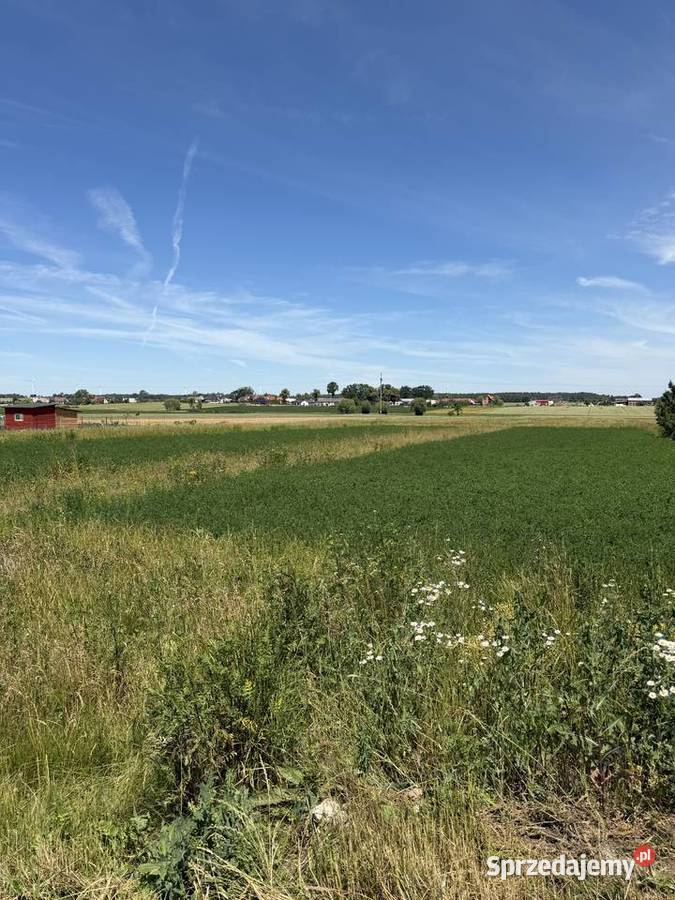 działka budowlana 2950m2 Kafar Wydane zarunki