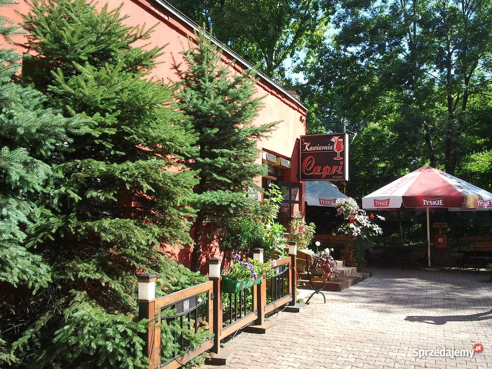 Kawiarnia Bar Pub Capri Będzin 20zł/m2 Będzin