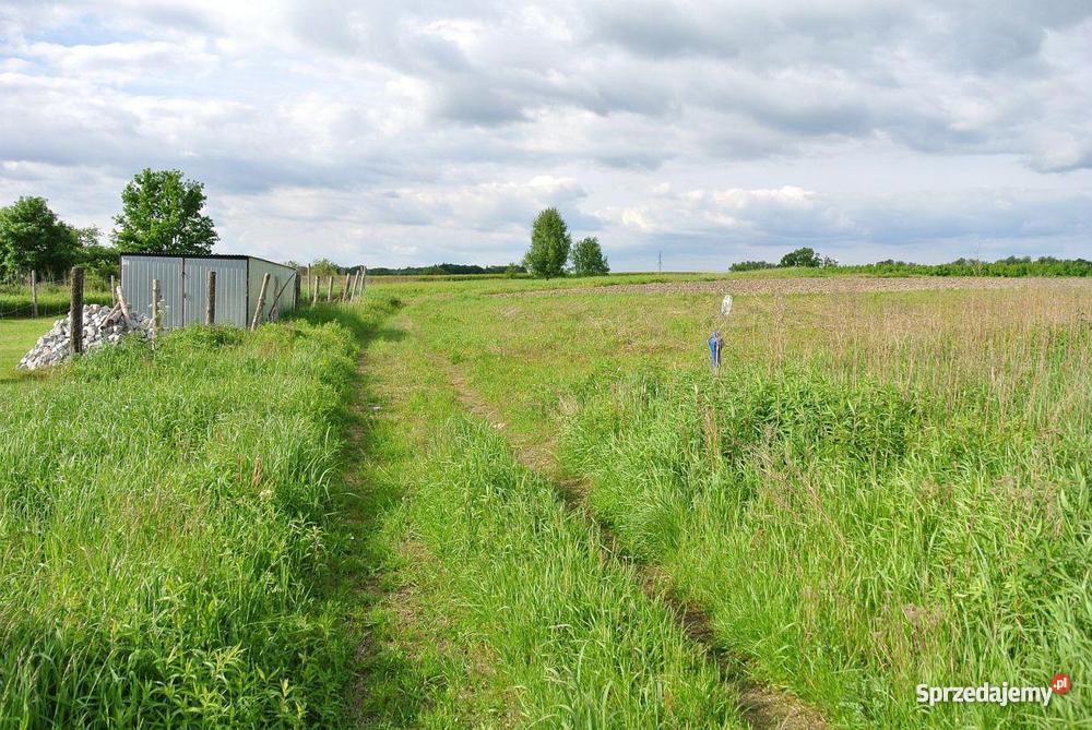 Działka Pierwoszów 1 690 m budowlana Pierwoszów