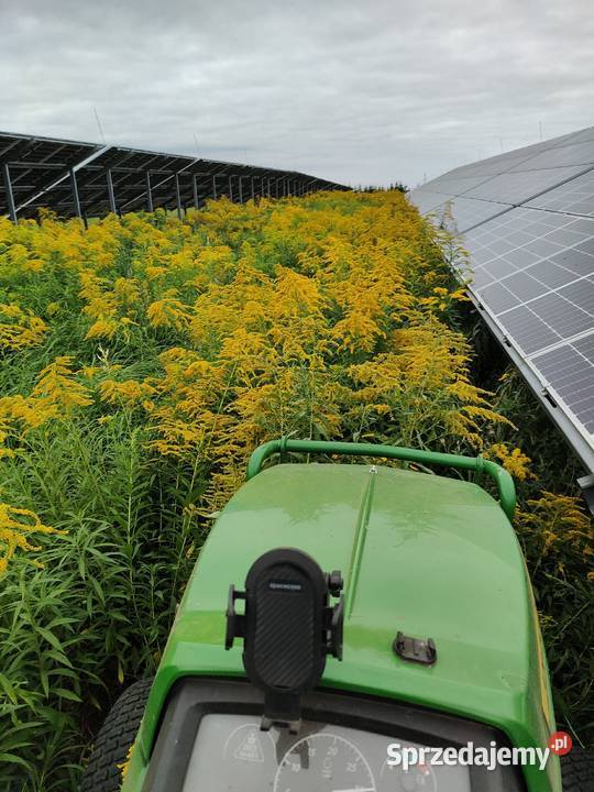 Koszenie farm fotowoltaicznych nieurzytkow Bydgoszcz