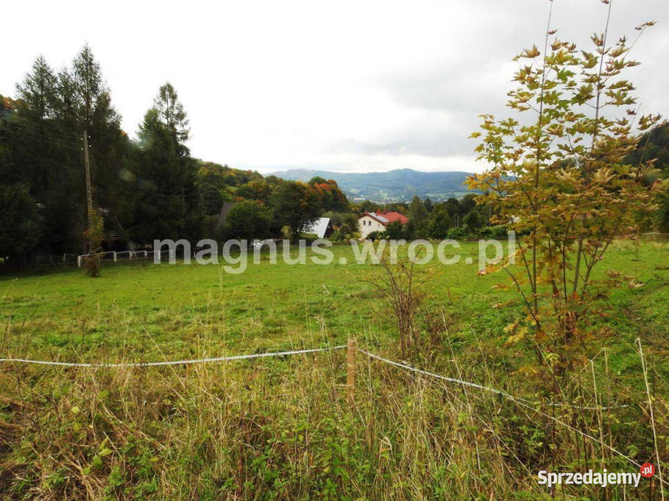 Działka budowlana z pięknym widokiem 0m dolnośląskie Łomnica
