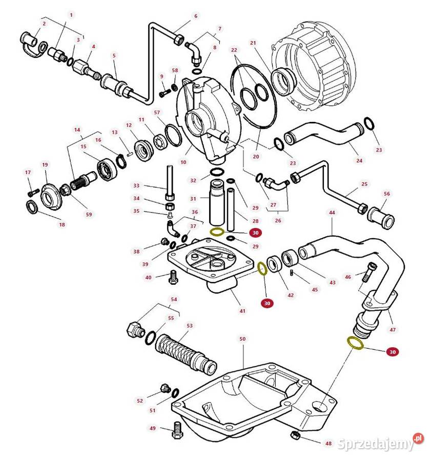 Oring sprzęgła mokrego Massey Ferguson 3010466X1 Białystok