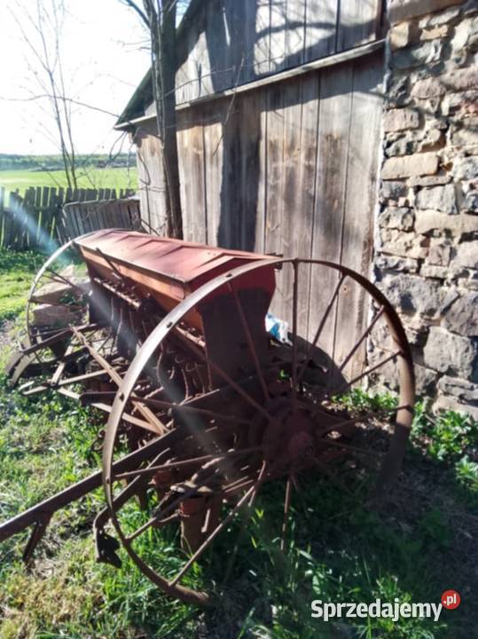 Siewnik konny Skotniki