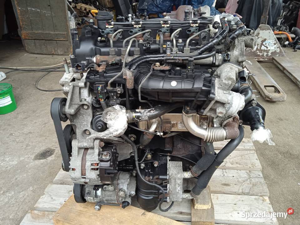 KOMPLETNY SILNIK D4HA 20 CRDI EURO 6 KIA Skierniewice
