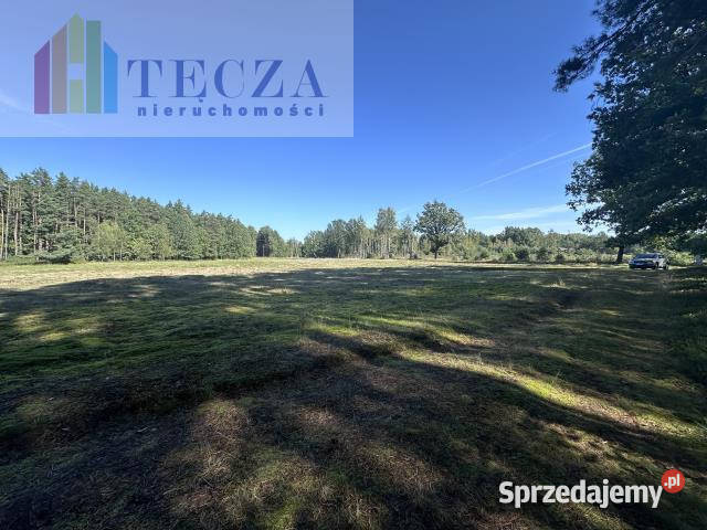 Sprzedaż działki Borucza 1800m2 szambo Grunty i działki