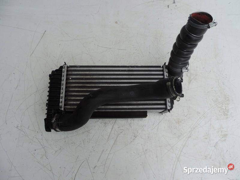 FOCUS MK3 CHŁODNICA INTERCOOLER BV619L440CK TDCI kujawsko-pomorskie sprzedam