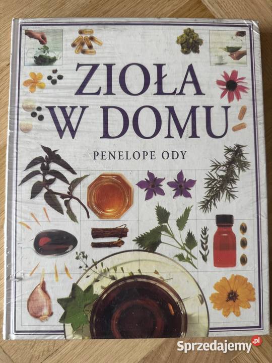 Zioła w domu Penelope Ody Warszawa