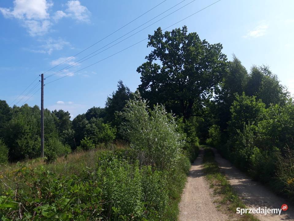 Działka budowlana z dostępem do jeziorka 18zł/m2 Czarnkowie