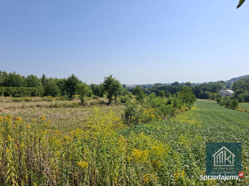 sprzedaży działki Bodzanów 5890m2