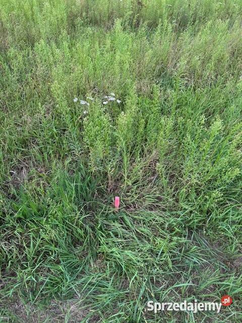 Dziełka budowlana Kuligów szambo