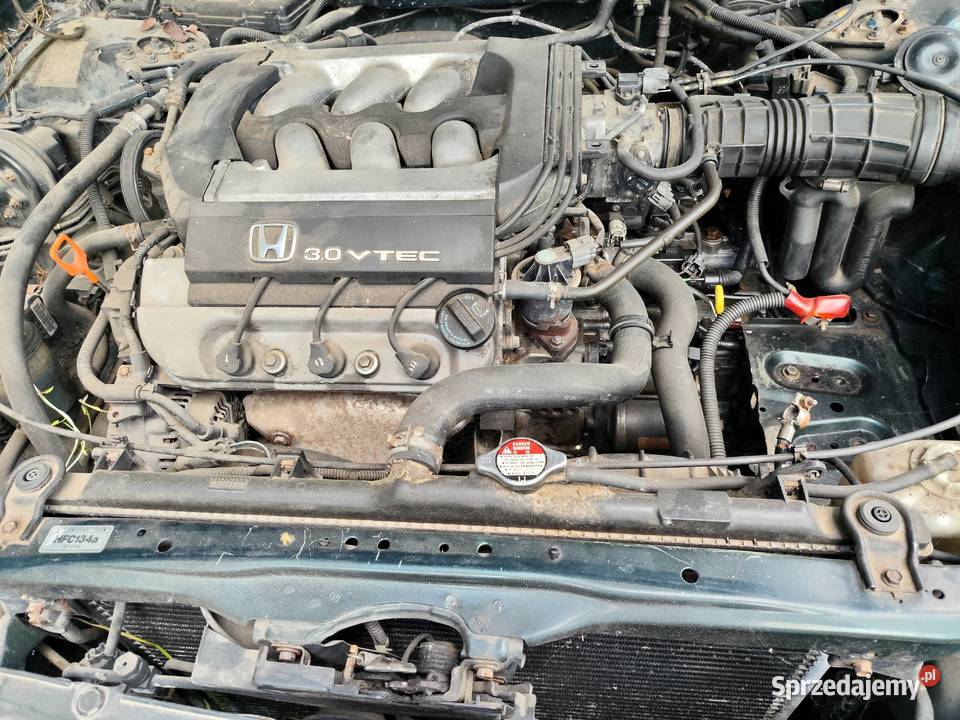 Honda Accord V6 Kozubszczyzna