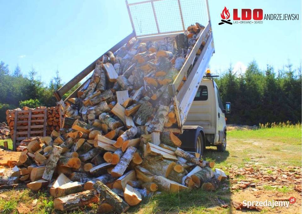 Suche Drewno Kominkowe Stęszew Dostawa LDO sprzedam