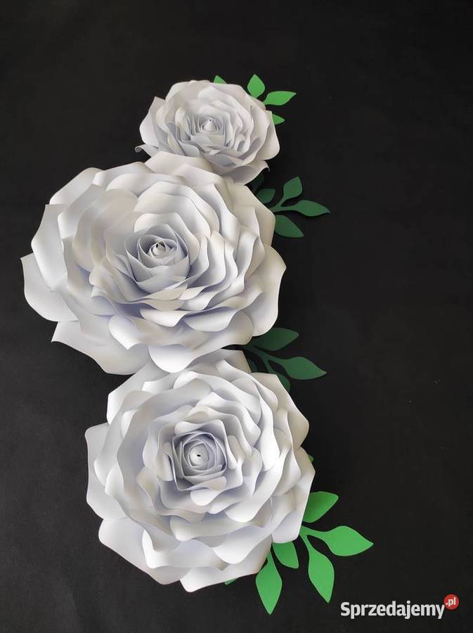 Róże z papieru 3D biały wielkopolskie Lądek