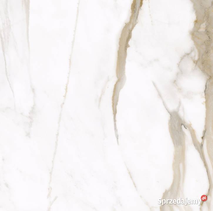 Gres Calacatta Gold satin 60x120K Płytki uniwersalne Warszawa