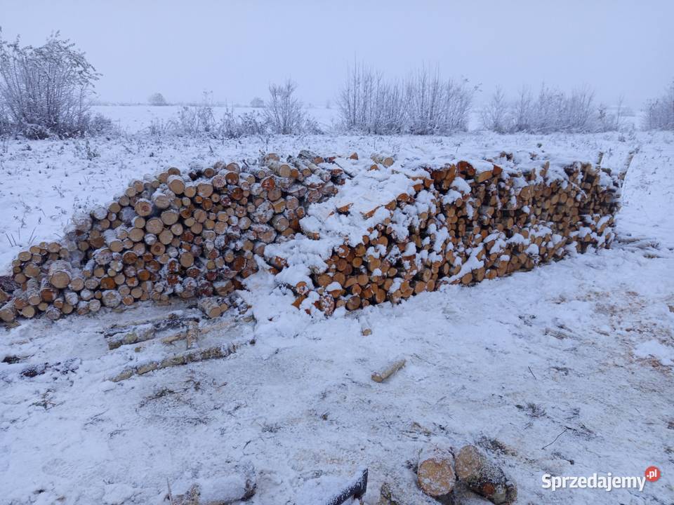 Drzewo Drewno Opałowe Kominkowe Brzoza i Wygiełzów