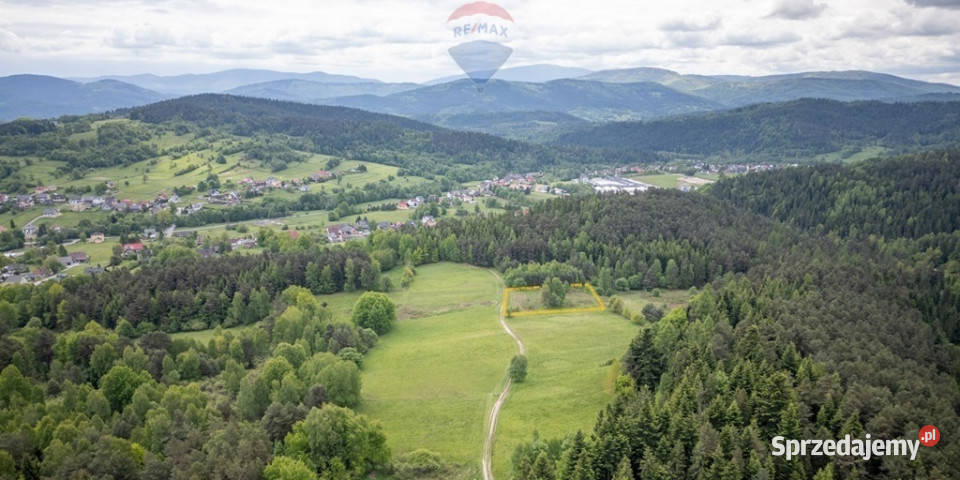 Widokowa działka na stoku wzgórza Gronik 46m Krzeszów