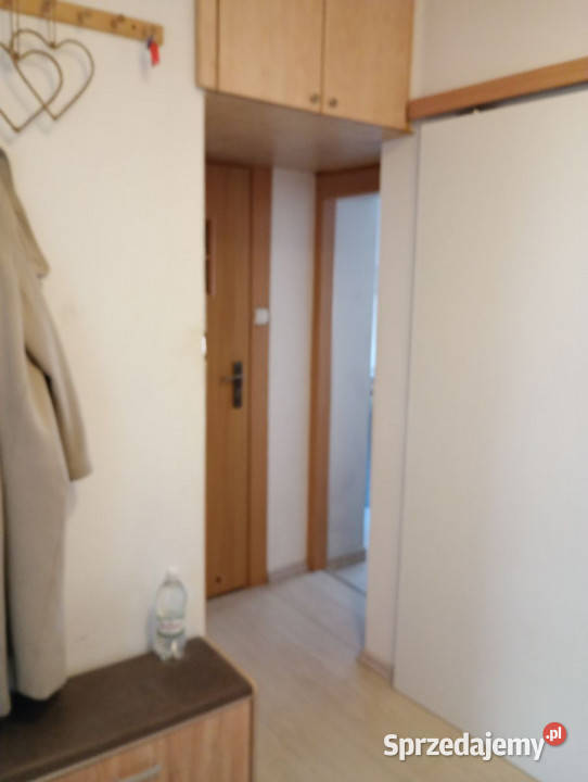 wynajmu mieszkania 45m2 2pok Sopot Oskara Liczba pokoi 2