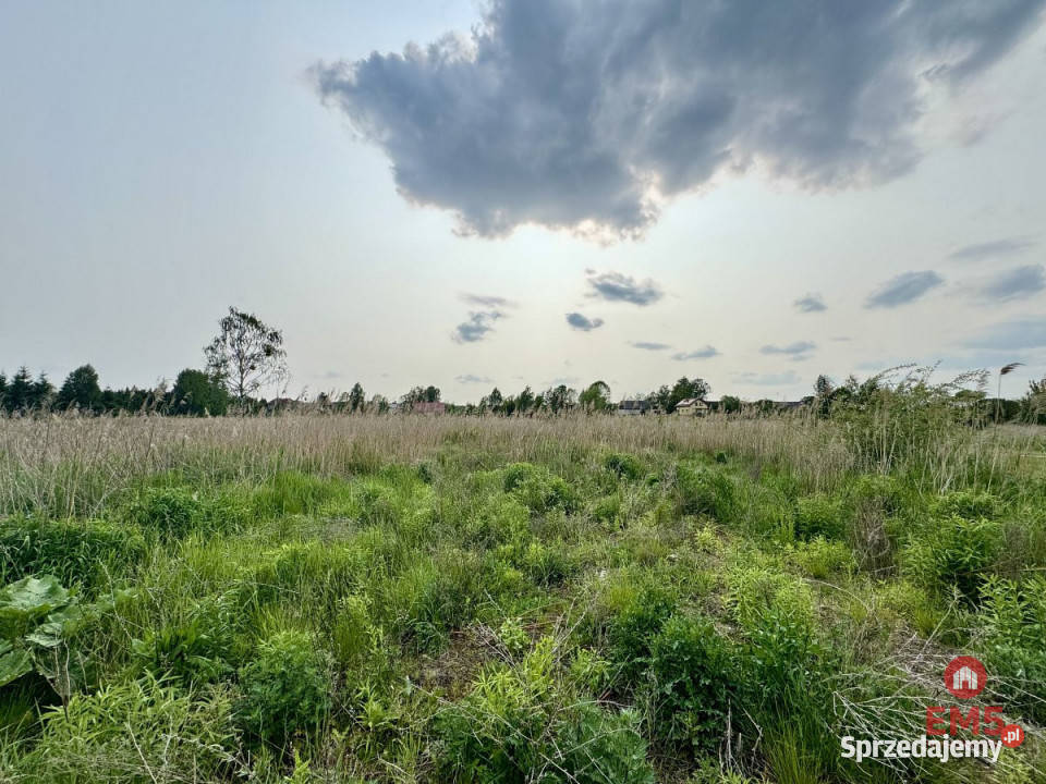 Grunt Nowodworce 1129m2 Sprzedaż sprzedam