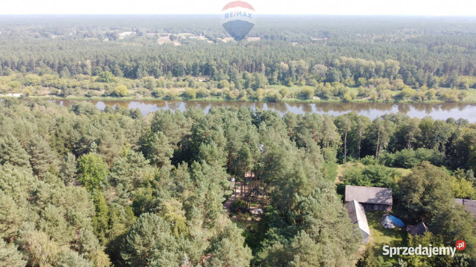 Działka budowlana 5000 m Różan Narew Nieruchomości mazowieckie Paulinowo