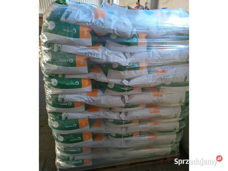 Nasiona kukurydzy Saatbau Bologna na sprzedam