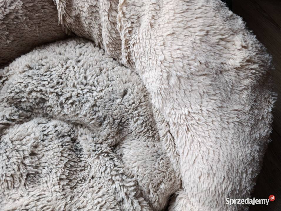 legowisko psa kota Dla psów Poznań