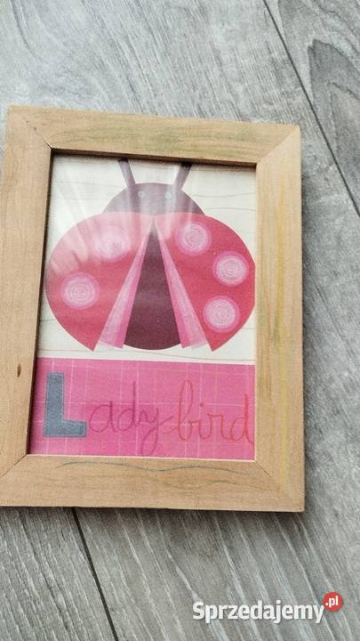 obraz obrazek dekoracyjny biedronka Poznań