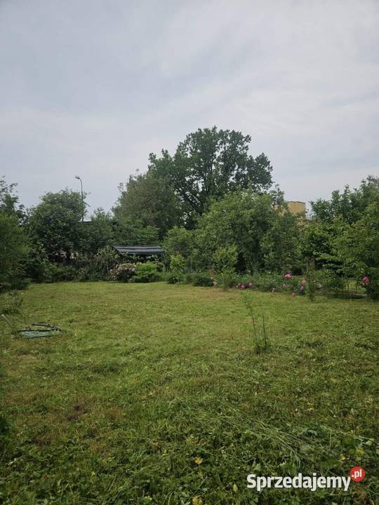 Ogródek działkowy 7 ROD Karola Miarki 1 Jelenia