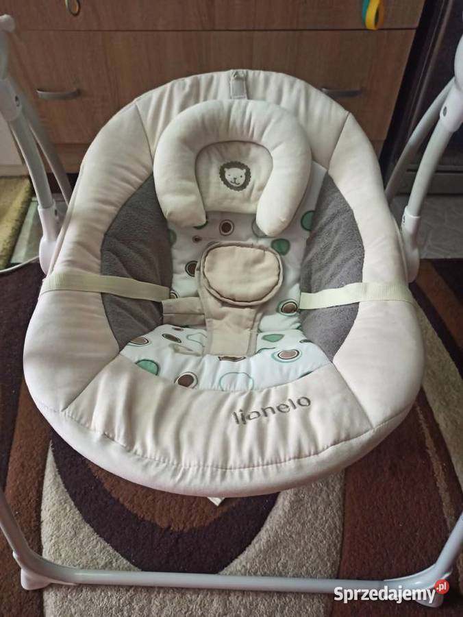 bujaczek Lionelo Robin Warszawa