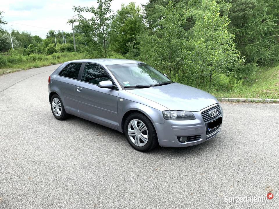 Audi A3 8P 19 TDI 105 BEZ DPF 340000km Jaworzno