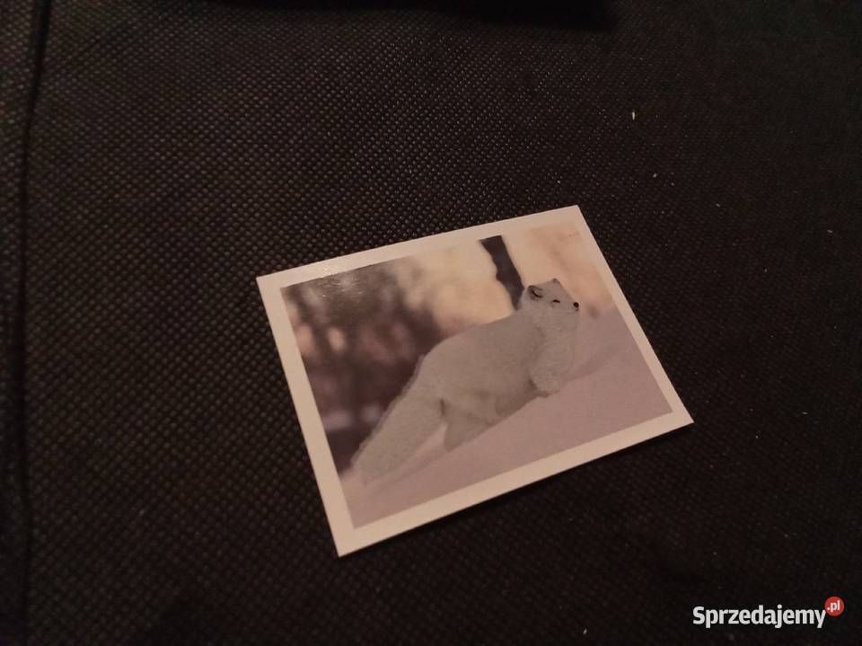 Naklejka sensoryczna zwierzęta świata lis Warszawa sprzedam