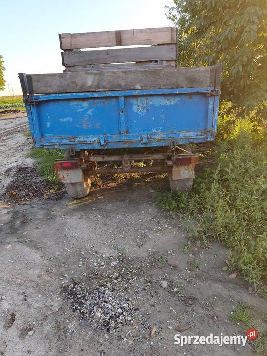 DWIE PRZYCZEPY D35 KACZKI Sieradz sprzedam