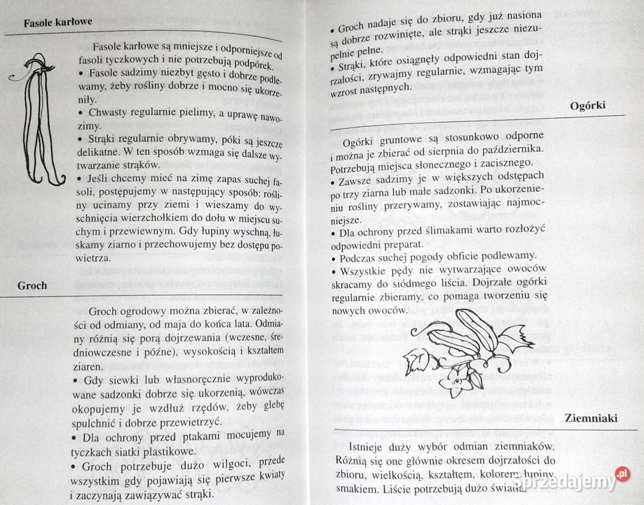 499 porad miłośników ogrodów Elisabeth Ebner Chełm