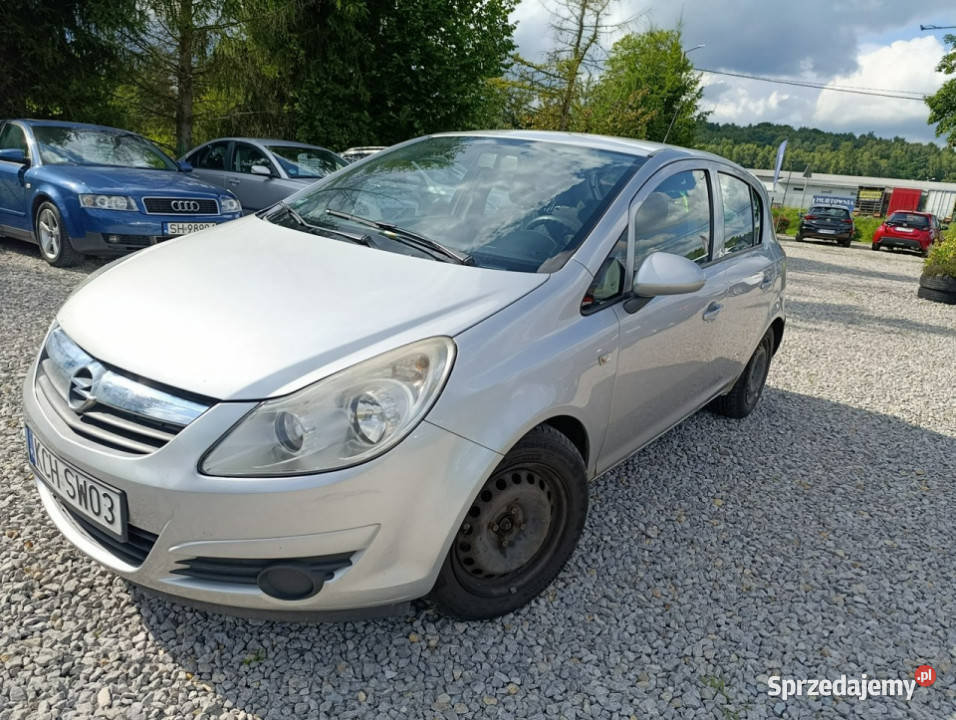 Opel Corsa Do poprawek blacharsko lakierniczych Dulowa